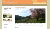Dawn Falcon Farm